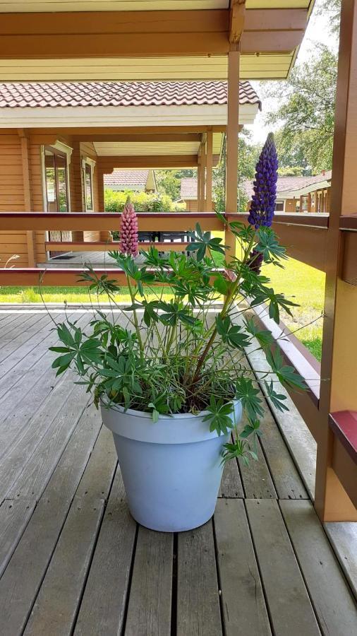 Lupine Lodge Gramsbergen Exterior foto